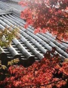 屋根に映える紅葉