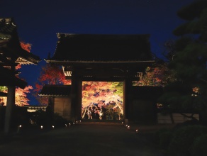 松本照男氏撮影